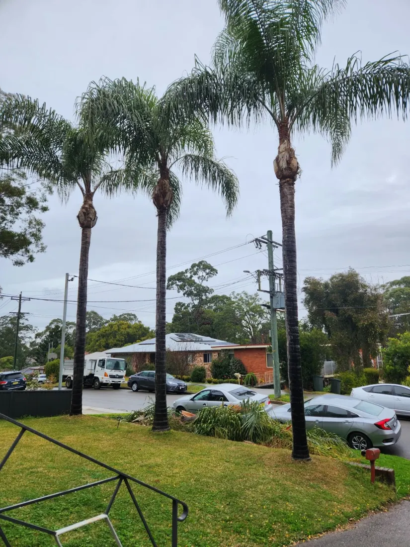 Palm lift: after
